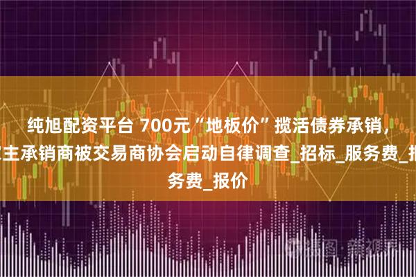 纯旭配资平台 700元“地板价”揽活债券承销,6家主承销商被交易商协会启动自律调查_招标_服务费_报价