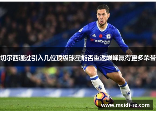 切尔西通过引入几位顶级球星能否重返巅峰赢得更多荣誉
