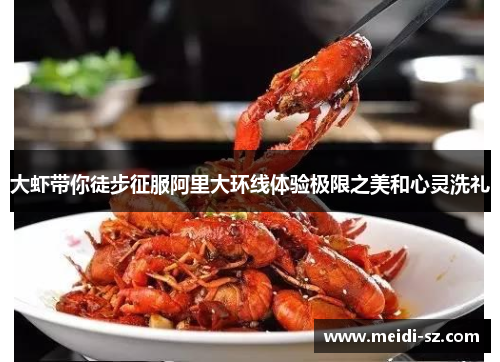 大虾带你徒步征服阿里大环线体验极限之美和心灵洗礼