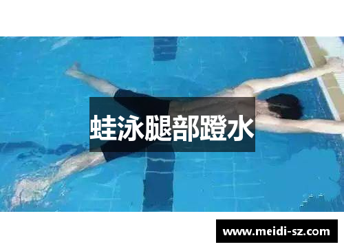 蛙泳腿部蹬水