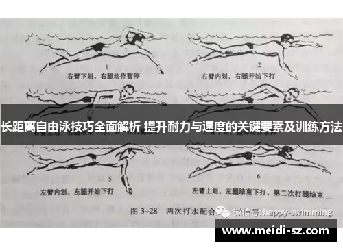 长距离自由泳技巧全面解析 提升耐力与速度的关键要素及训练方法
